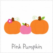 Pink Pumpkin Baby Shower